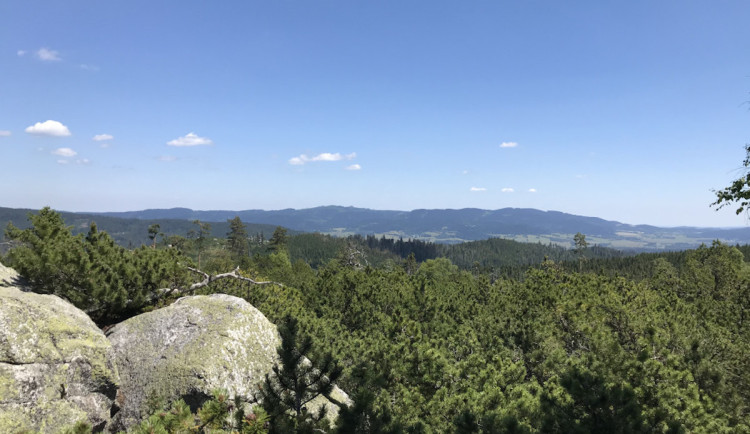 V CHKO Šumava pracuje 17 zaměstnanců, analýza ukáže, zda se bude stav snižovat
