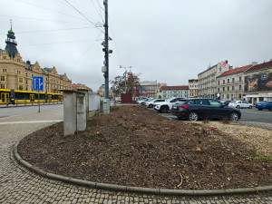 Začala proměna ostudných sadů Pětatřicátníků, jako první šly pryč stromy a keře