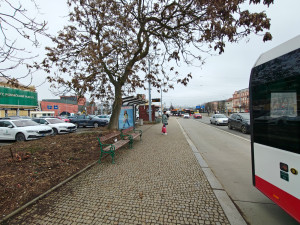 Začala proměna ostudných sadů Pětatřicátníků, jako první šly pryč stromy a keře