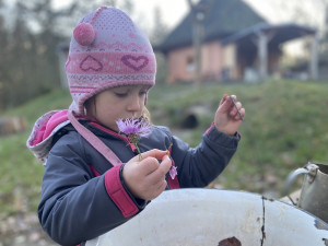 Lesní mateřská školka nad Berounkou přijímá nové děti, jezdí sem i rodiče z Plzně