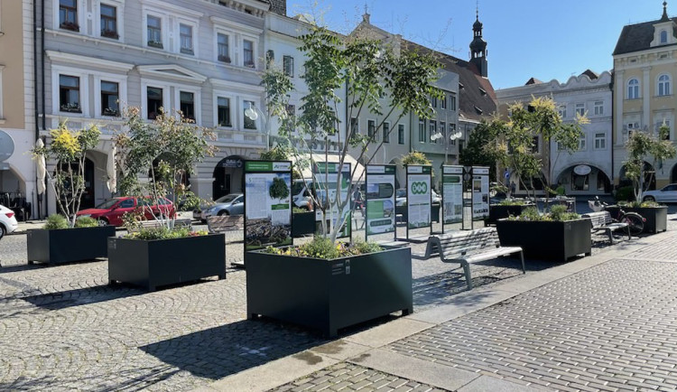 České Budějovice chtějí sjednotit podobu mobiliáře ve městě