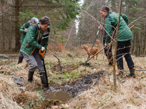 Ochranáři vylepšují mločí porodnici, jejich larvy klidně zblajznou i své sourozence