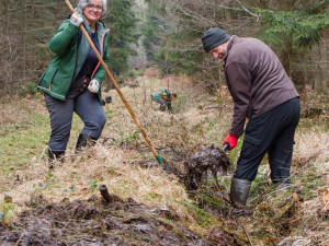 Ochranáři vylepšují mločí porodnici, jejich larvy klidně zblajznou i své sourozence