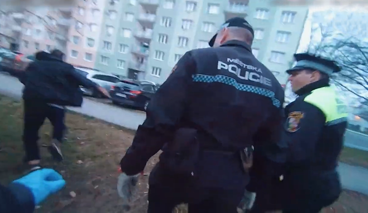 V tomto okamžiku se dal pachatel nečekaně na útěk