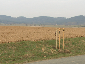 Bizarní krádež, která nemá obdoby. Někdo ukradl ovocnou alej