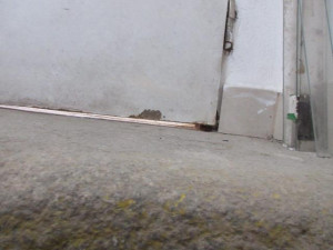 Myší trus na bochnících chleba i živí hlodavci, sklad večerky inspekce uzavřela