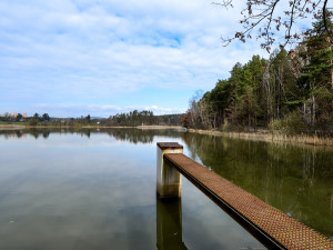 Velikonoční prodej ryb začne u rybníku Košinář. Ceny zůstávají stejné už několik let
