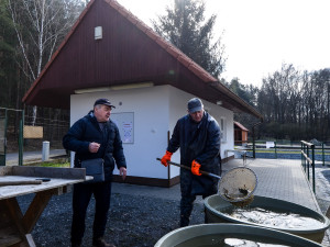 Velikonoční prodej ryb začne u rybníku Košinář. Ceny zůstávají stejné už několik let