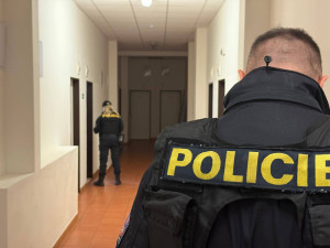 Policie provětrala noční kluby, fabriky i agenturní autobusy. Cílila na cizince