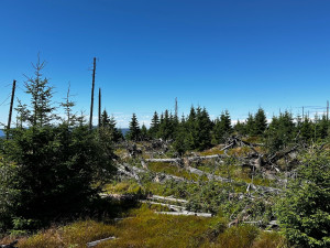 Chráněná území v Plzeňském kraji tvoří téměř pětinu z celkové rozlohy kraje