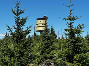 Chráněná území v Plzeňském kraji tvoří téměř pětinu z celkové rozlohy kraje