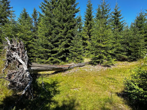 Chráněná území v Plzeňském kraji tvoří téměř pětinu z celkové rozlohy kraje