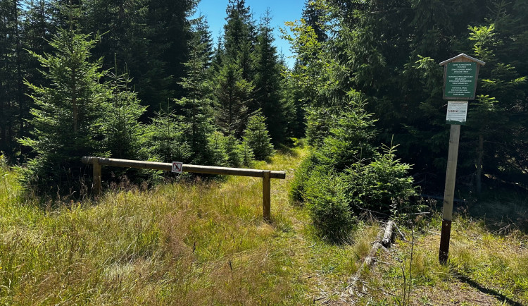 Území NP Šumava