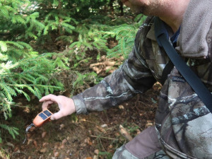 Pátrání po ztracené orlici a vysílačce