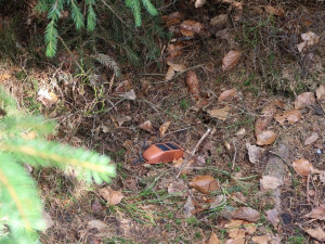 Pátrání po ztracené orlici a vysílačce