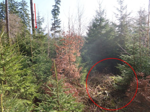 Pátrání po ztracené orlici a vysílačce