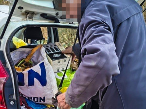 Senior půl roku rozhazoval v lese plastový odpad. Tvrdil, že tím hnojí stromy