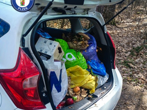 Senior půl roku rozhazoval v lese plastový odpad. Tvrdil, že tím hnojí stromy