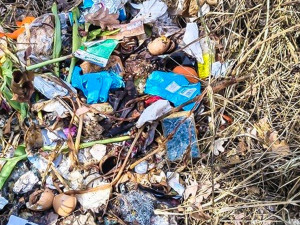 Senior půl roku rozhazoval v lese plastový odpad. Tvrdil, že tím hnojí stromy