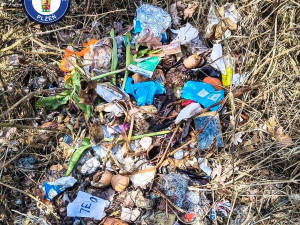 Senior půl roku rozhazoval v lese plastový odpad. Tvrdil, že tím hnojí stromy