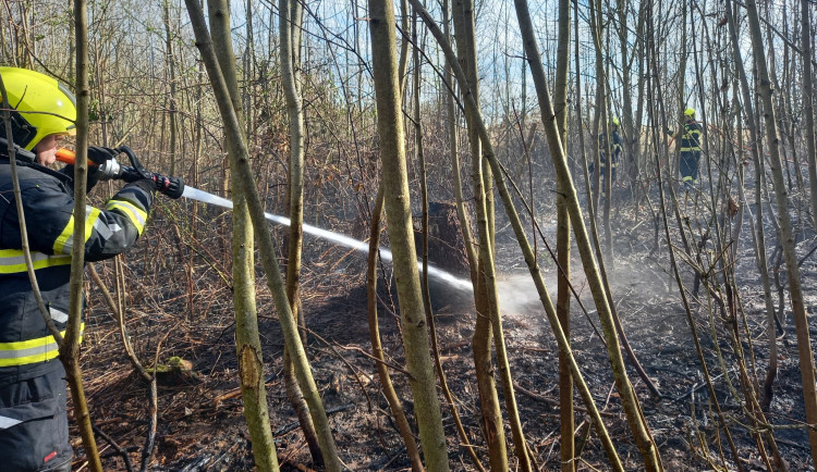 Hasiči bojovali s rozsáhlým požárem lesa na Náchodsku. Na pomoc si přivolali také vrtulník