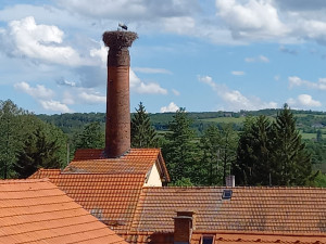 Spálenopoříčský čáp, zdroj: Spálené Poříčí