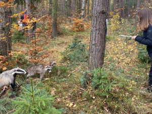 Na účastníky akce čeká i doprovodný program