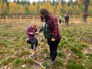 Chystá se další populární Den pro les. Lidé vysadí 4000 modřínů a borovic u Boleváku