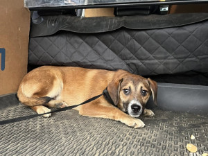 Foto: Gabriela Jägerová