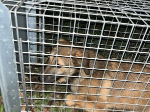 Foto: Gabriela Jägerová