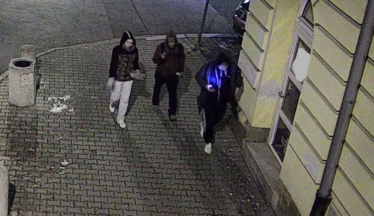 Ukradená dančí hlava jako trofej z nočního tahu, policie hledá partičku z fotky