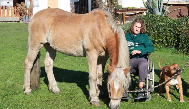 Kája nešťastně spadla z koně a ochrnula, pomoci jí snaží divadelní ochotníci