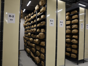 Částí oděvů a obuvi, dokladů, hodinek, hygienických potřeb. To vše je ve sbírkách Památníku