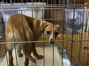 Foto: Gabriela Jägerová