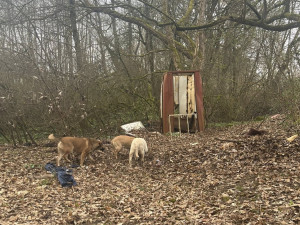 Foto: Gabriela Jägerová