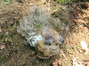 Hlava panenky z hnízda