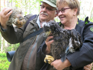 Hnízdo našli Karel a Růžena Machačovi. Uvnitř hnízda byl i hororový nález