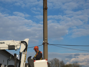 Strategická čapí hnízda jsou plná. Čápi z nouze staví nová na nebezpečných místech