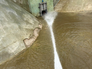 Největší přírodní koupaliště v kraji a druhé největší v ČR prochází očistou