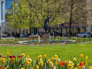 Fontána Corso se po letech znovu rozezpívá, pozlacená Chrtice bude letos na suchu