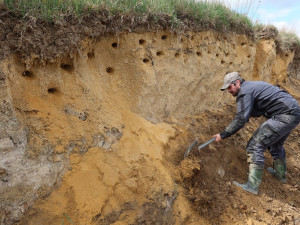 Břehule si nory v novém sídlišti nedokázaly vyhrabat, pomoci musely ruční vrtačky