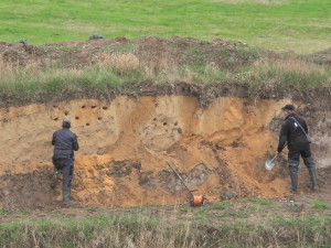 Břehule si nory v novém sídlišti nedokázaly vyhrabat, pomoci musely ruční vrtačky