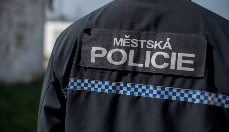 Habartov na Sokolovsku plánuje zřízení městské policie