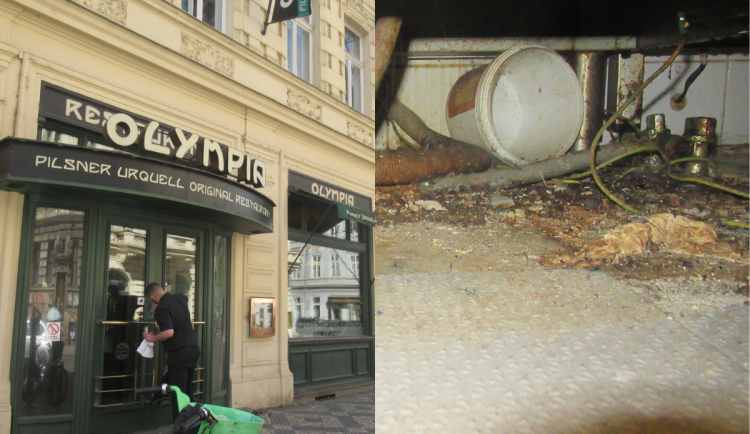 Myší bobky, plíseň, špína. Kuchyň Kolkovny na Malé Straně na místě zavřeli