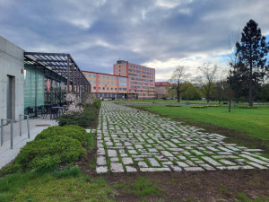 B1b_pohled_od_silnice_po_realizaci_vzchazejici_osivo_fotoMichaelaMENCLOVÁ