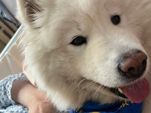 Agnes a Elis dochází za pacienty do Horažďovic.