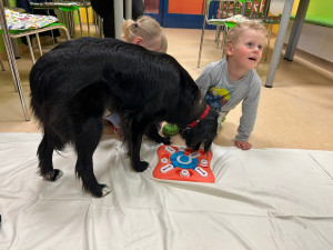 Fenka Ardy se svou majitelkou navštěvují Klatovskou nemocnici.