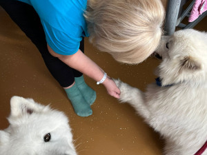 Agnes a Elis dochází za pacienty do Horažďovic.