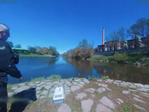 Početná kachní rodinka squatovala ve Škodě. Pak přišel odchyt a přesun do bezpečí