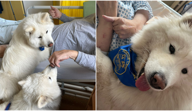 Agnes a Elis dochází za pacienty do Horažďovic.